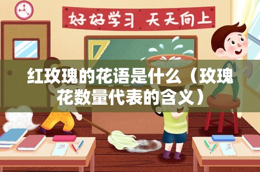 红玫瑰的花语是什么（玫瑰花数量代表的含义）