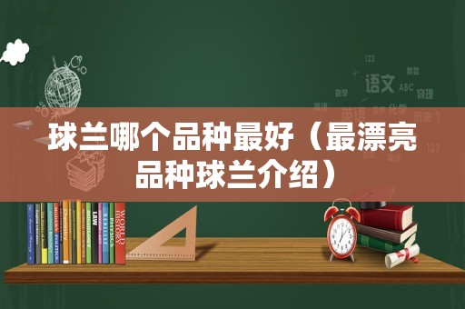 球兰哪个品种最好（最漂亮品种球兰介绍）