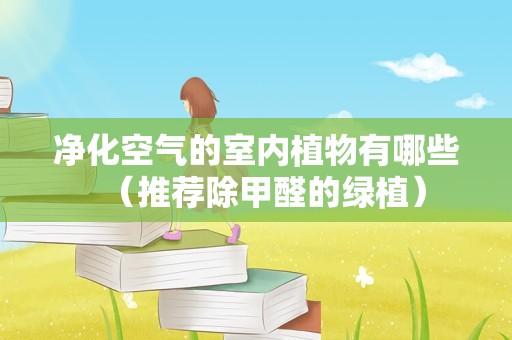 净化空气的室内植物有哪些（推荐除甲醛的绿植）