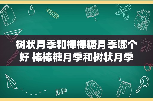 树状月季和棒棒糖月季哪个好 棒棒糖月季和树状月季的缺点