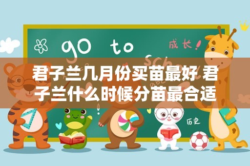君子兰几月份买苗最好 君子兰什么时候分苗最合适