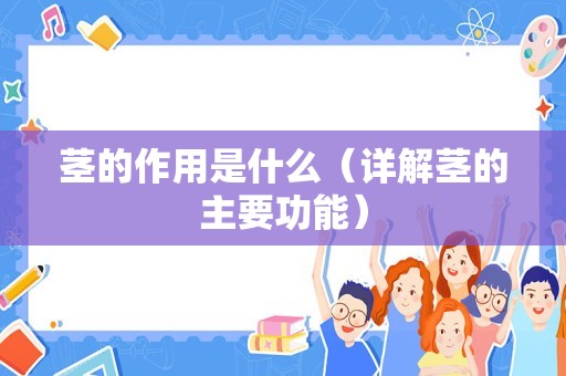 茎的作用是什么（详解茎的主要功能）
