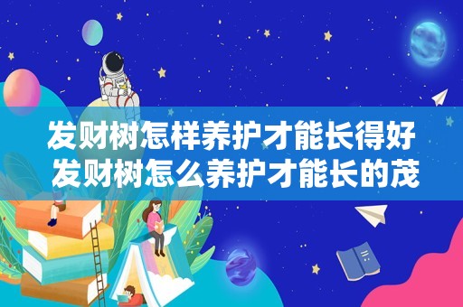 发财树怎样养护才能长得好 发财树怎么养护才能长的茂盛