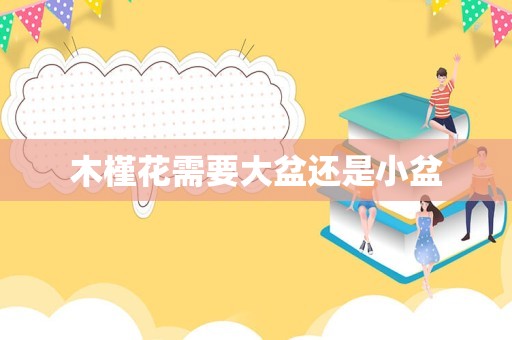 木槿花需要大盆还是小盆