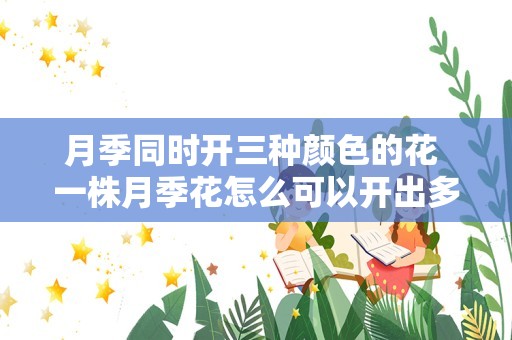 月季同时开三种颜色的花 一株月季花怎么可以开出多种颜色