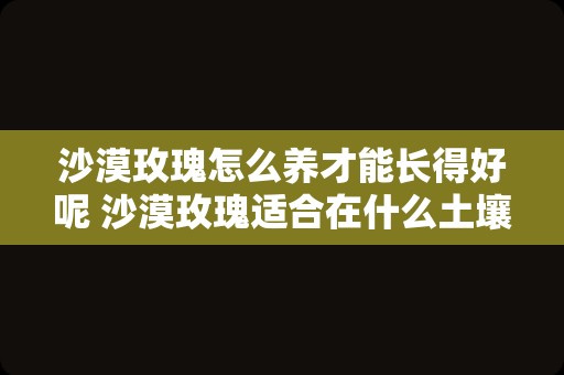 沙漠玫瑰怎么养才能长得好呢 沙漠玫瑰适合在什么土壤生长
