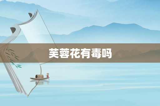 芙蓉花有毒吗