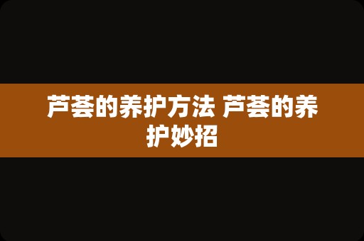 芦荟的养护方法 芦荟的养护妙招