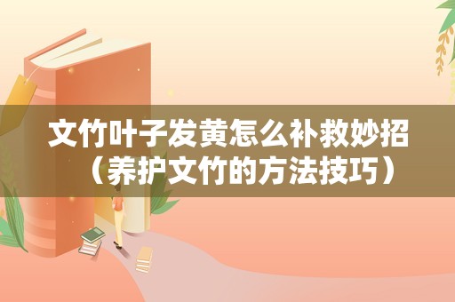 文竹叶子发黄怎么补救妙招（养护文竹的方法技巧）