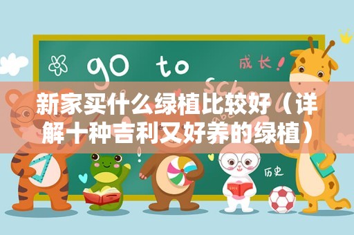 新家买什么绿植比较好（详解十种吉利又好养的绿植）
