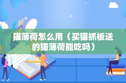 猫薄荷怎么用（买猫抓板送的猫薄荷能吃吗）