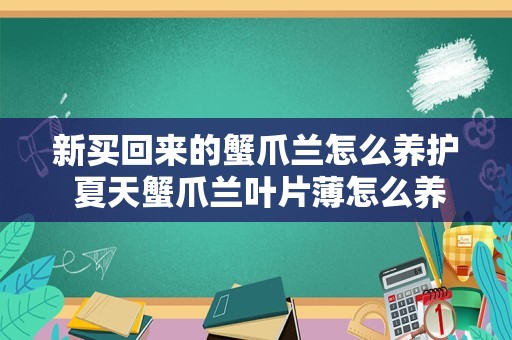 新买回来的蟹爪兰怎么养护 夏天蟹爪兰叶片薄怎么养护