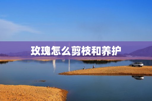 玫瑰怎么剪枝和养护