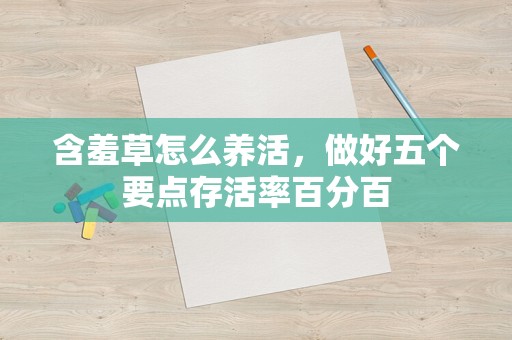 含羞草怎么养活，做好五个要点存活率百分百