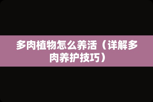 多肉植物怎么养活（详解多肉养护技巧）