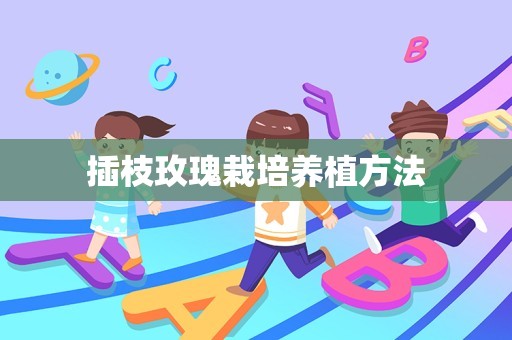 插枝玫瑰栽培养植方法