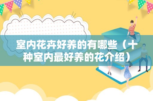 室内花卉好养的有哪些（十种室内最好养的花介绍）