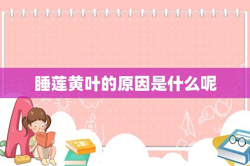 睡莲黄叶的原因是什么呢