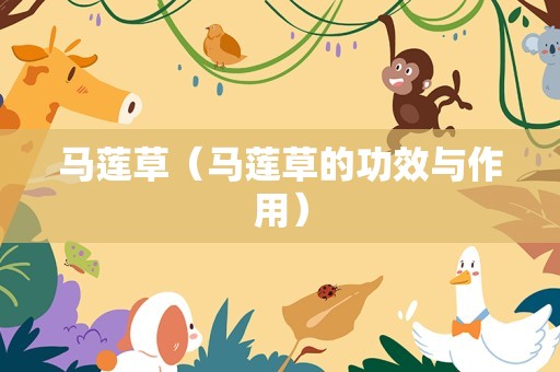 马莲草（马莲草的功效与作用）