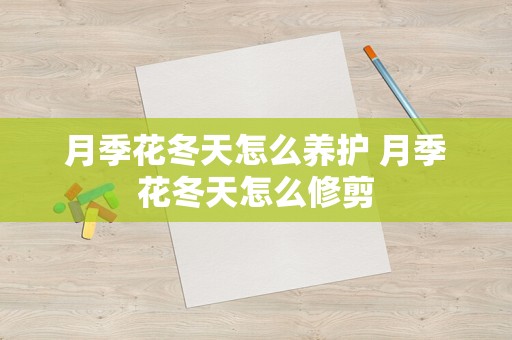 月季花冬天怎么养护 月季花冬天怎么修剪