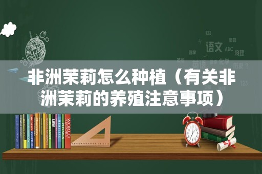 非洲茉莉怎么种植（有关非洲茉莉的养殖注意事项）