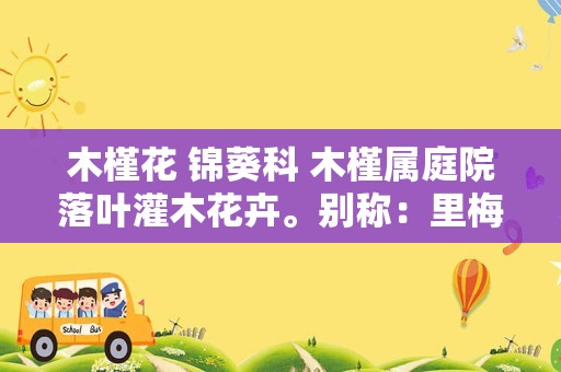 木槿花 锦葵科 木槿属庭院落叶灌木花卉。别称：里梅花、喇叭花、白槿花、朝开暮落花等。我国各地都有栽培。南方以露地栽培为主