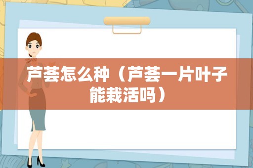芦荟怎么种（芦荟一片叶子能栽活吗）