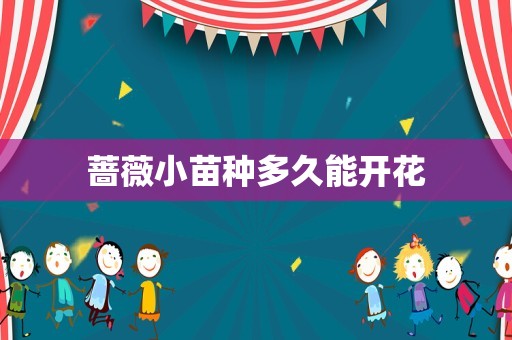 蔷薇小苗种多久能开花