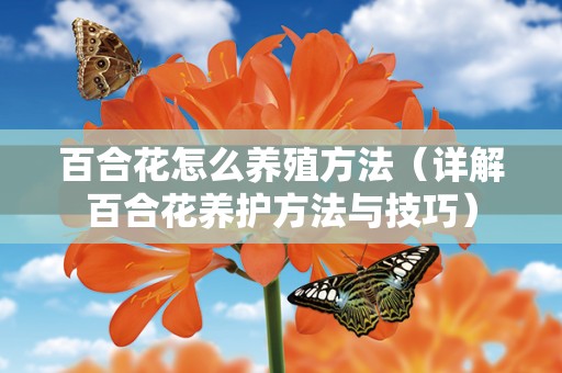 百合花怎么养殖方法（详解百合花养护方法与技巧）