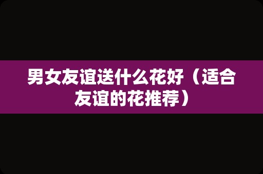 男女友谊送什么花好（适合友谊的花推荐）