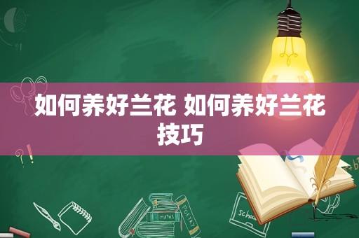 如何养好兰花 如何养好兰花技巧
