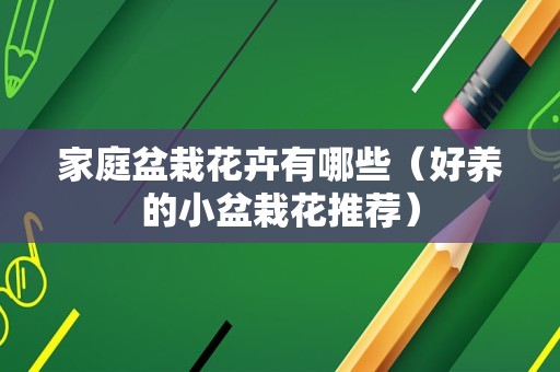 家庭盆栽花卉有哪些（好养的小盆栽花推荐）