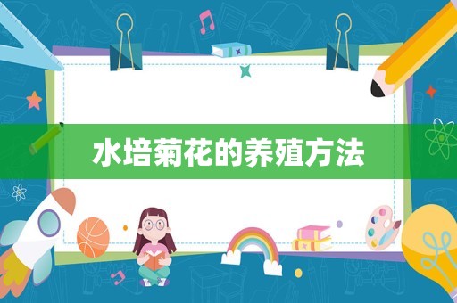 水培菊花的养殖方法