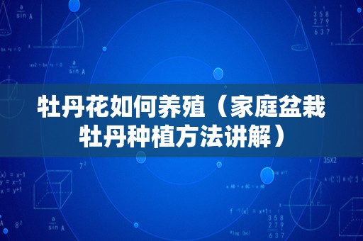 牡丹花如何养殖（家庭盆栽牡丹种植方法讲解）