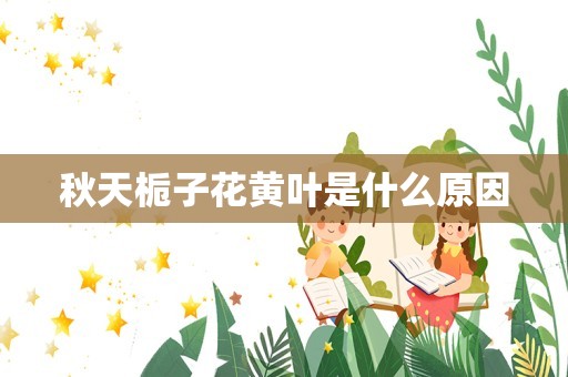 秋天栀子花黄叶是什么原因