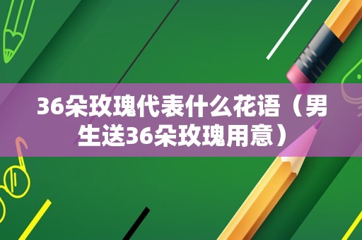 36朵玫瑰代表什么花语（男生送36朵玫瑰用意）