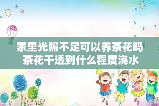 家里光照不足可以养茶花吗 茶花干透到什么程度浇水最好