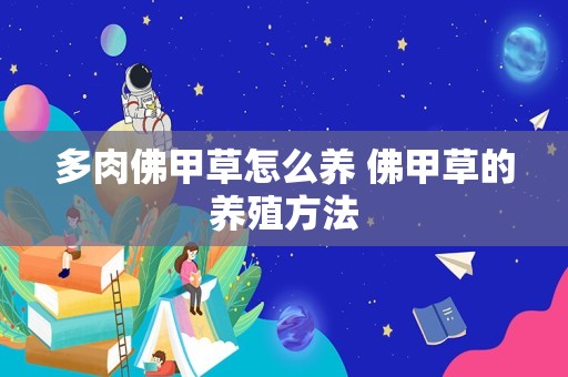 多肉佛甲草怎么养 佛甲草的养殖方法