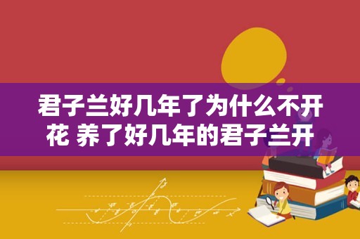 君子兰好几年了为什么不开花 养了好几年的君子兰开花寓意什么
