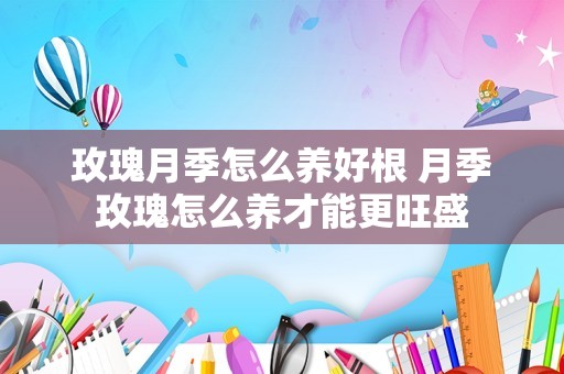 玫瑰月季怎么养好根 月季玫瑰怎么养才能更旺盛