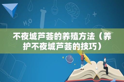 不夜城芦荟的养殖方法（养护不夜城芦荟的技巧）