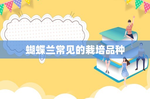 蝴蝶兰常见的栽培品种
