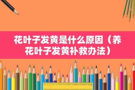 花叶子发黄是什么原因（养花叶子发黄补救办法）