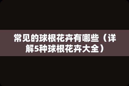 常见的球根花卉有哪些（详解5种球根花卉大全）