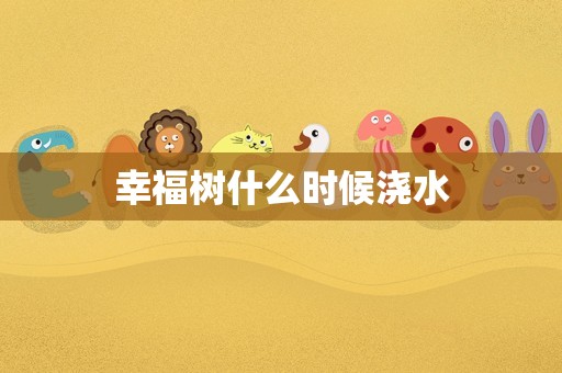 幸福树什么时候浇水