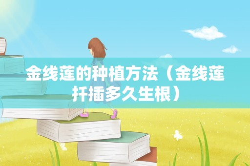 金线莲的种植方法（金线莲扦插多久生根）