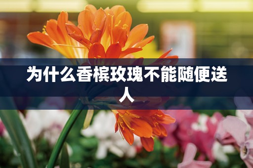 为什么香槟玫瑰不能随便送人