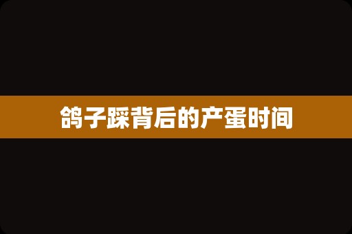 鸽子踩背后的产蛋时间