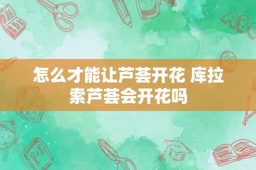 怎么才能让芦荟开花 库拉索芦荟会开花吗