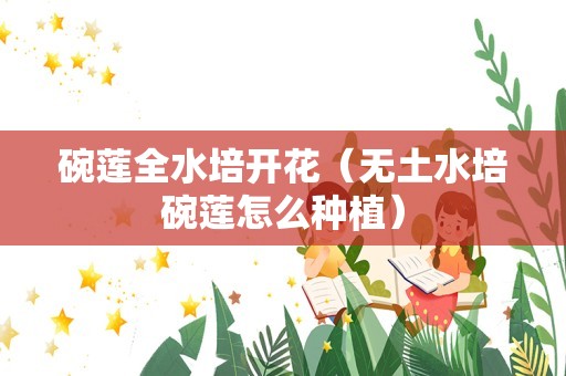 碗莲全水培开花（无土水培碗莲怎么种植）